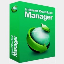 Internet Download Manager Review