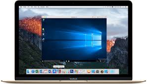 Parallels Desktop Business Edition 14.1 for Mac Review