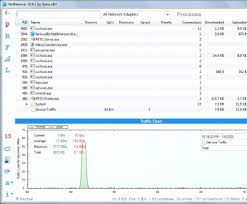 NetBalancer 9.1 Offline Installer