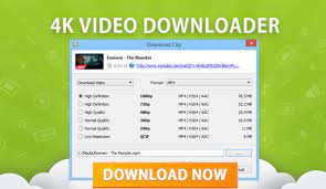 4K Video Downloader Review