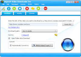 Bigasoft Video Downloader Pro Review