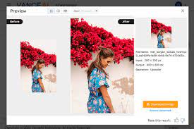 Vance AI Image Enhancer 1 Free Download1